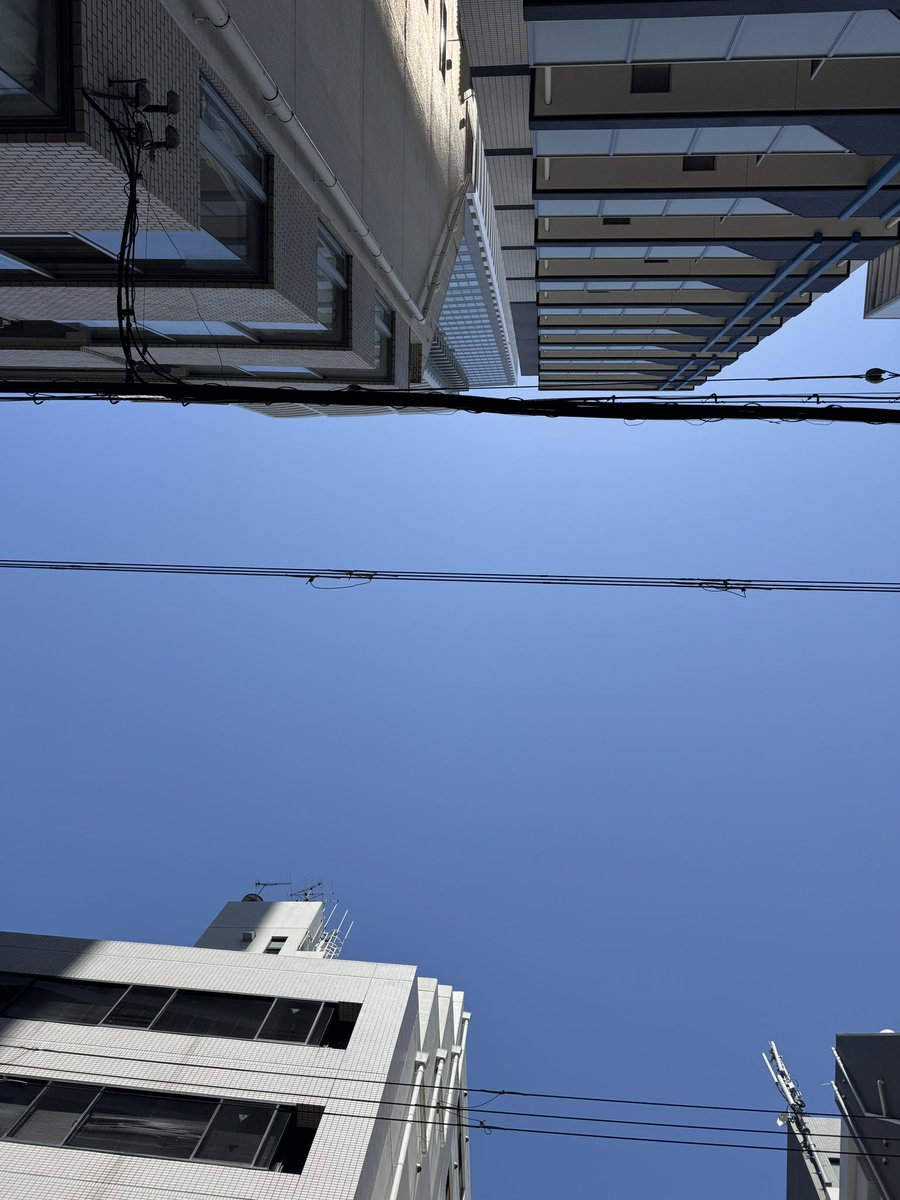 Akane_Zero's tweet photo. おはようございます。
昨日と打って変わって、今日はいい天気。
３件の内見案内、頓張ります。

それでは皆さん良い週末を✌️
#おは戦80411ad🍩 https://t.co/d3mLQleiov