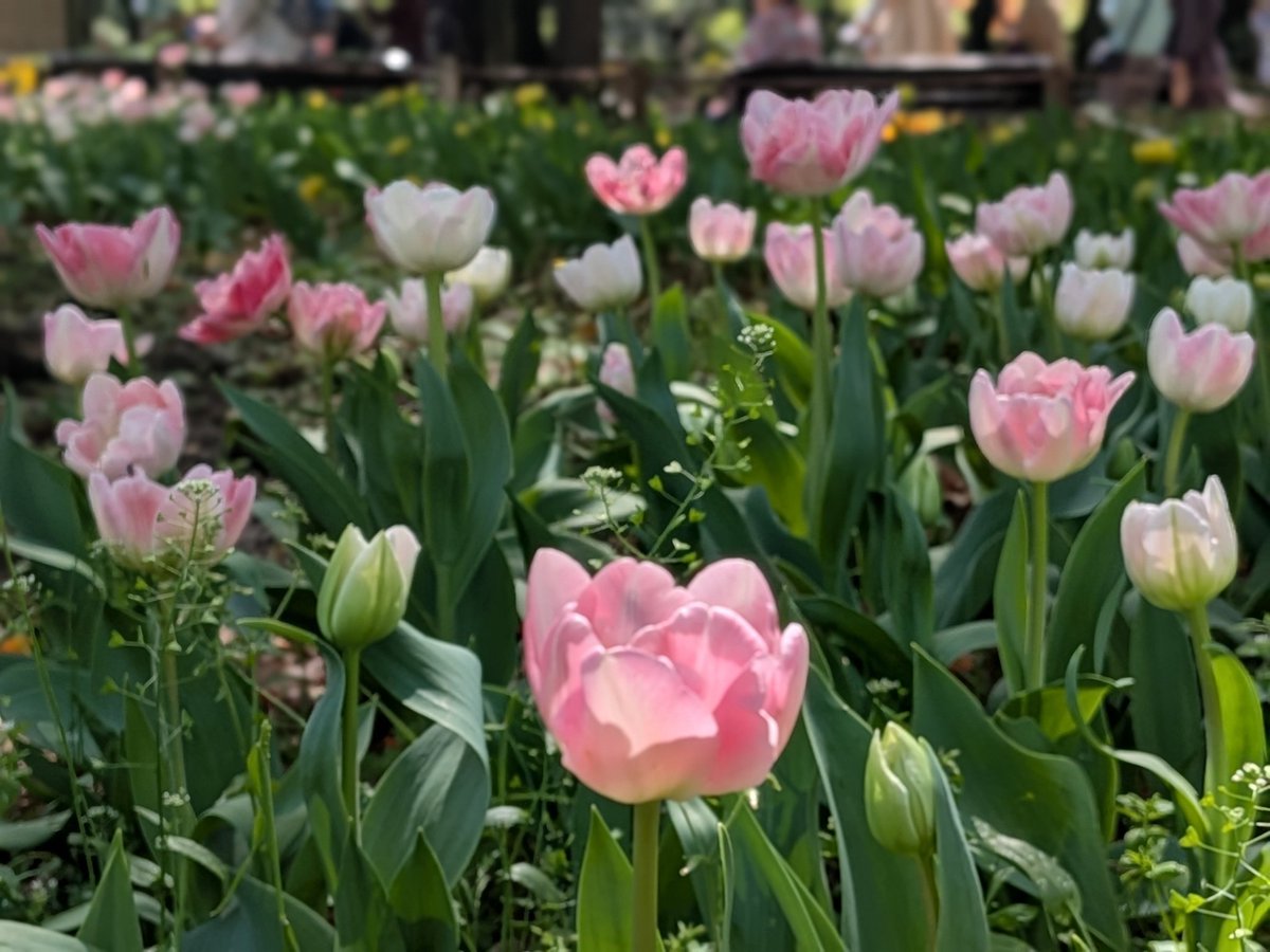 こんた tweet media