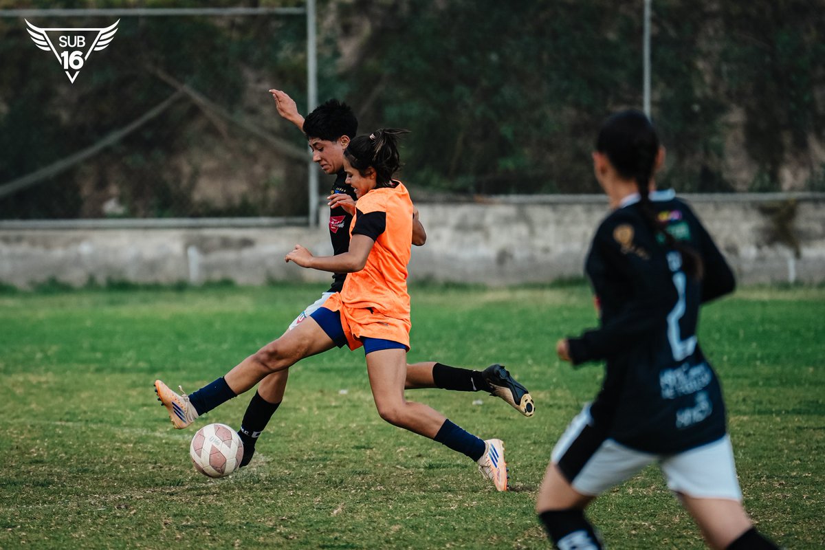 GuerrerasLDU's tweet photo. U16 | ¡No perdemos el ritmo! Hoy tuvimos partido amistoso frente a #LIGAAcademyXMC 🤝

#MiniGuerreras #VamosLIGA #FormativasLDU https://t.co/8D2RF47yDr