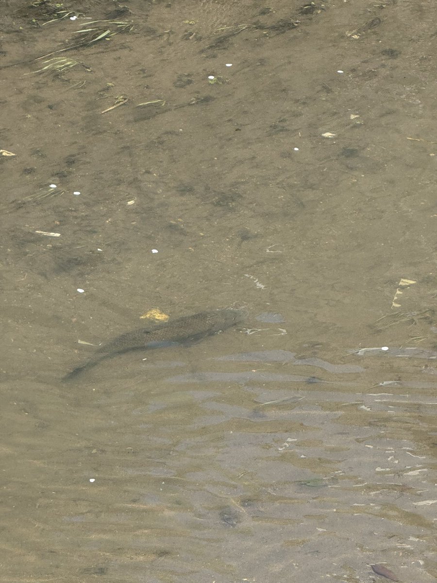 石川典行 tweet media