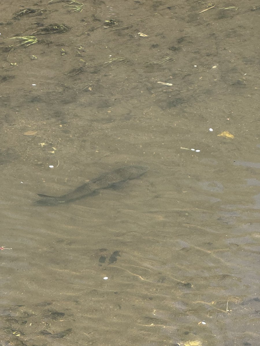 石川典行 tweet media