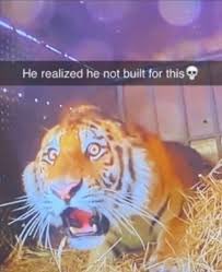 daily istaroth ⏳ tweet media