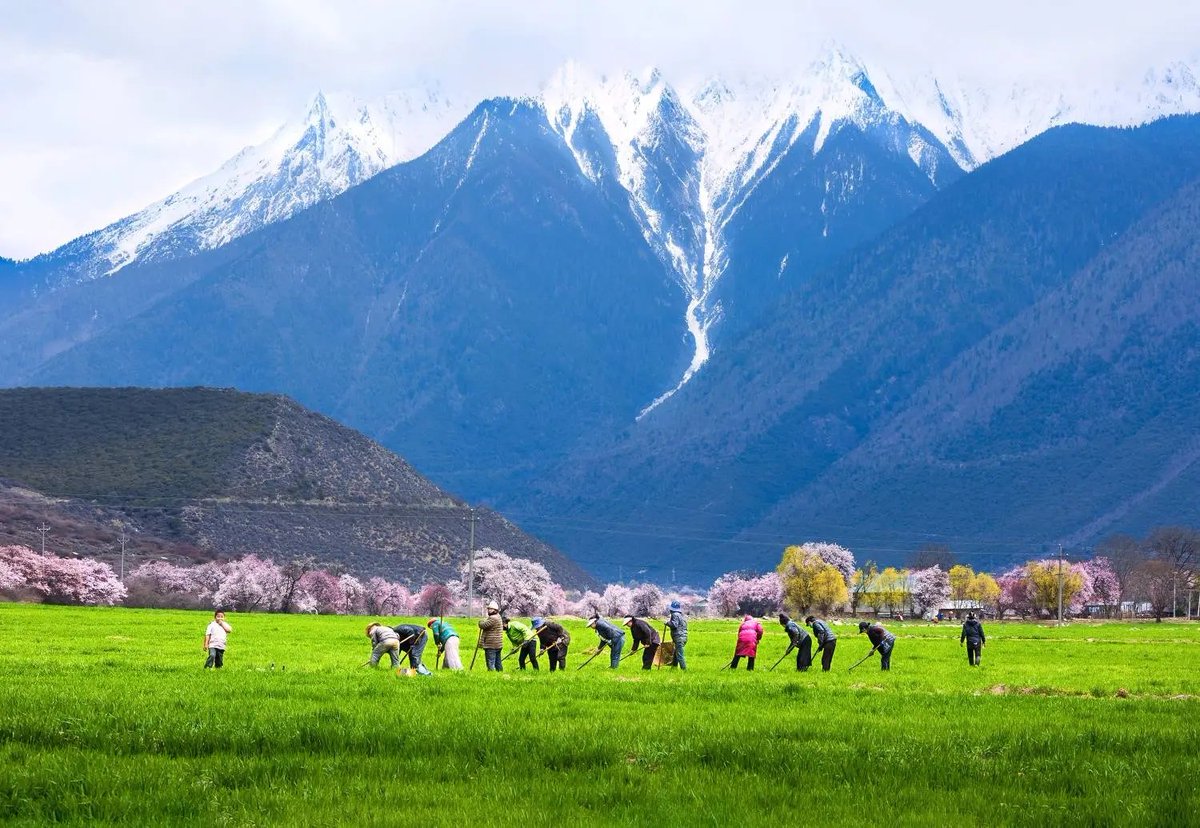 漠然 （互fo） tweet media