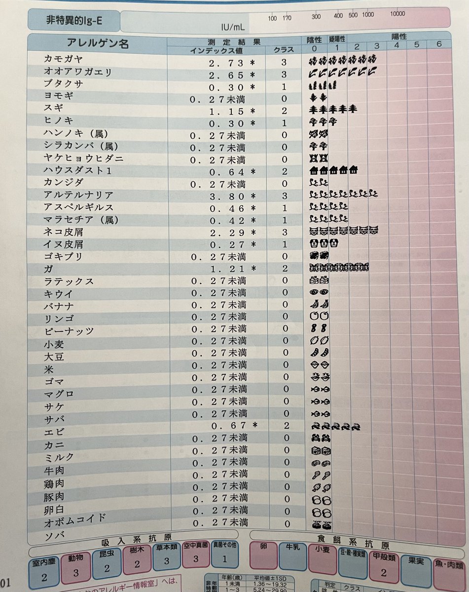 かめらん@5/23,30マスターズ800m（M50） tweet media
