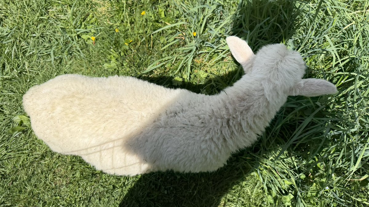 noah! 👾 tweet media