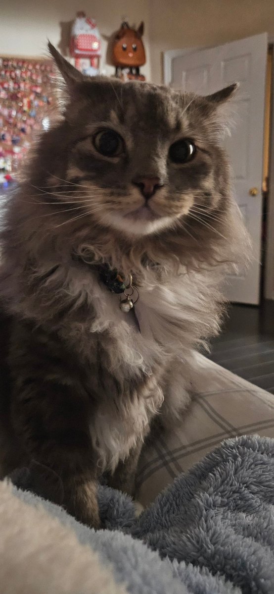 Rin Rin 🐰🎀 tweet media