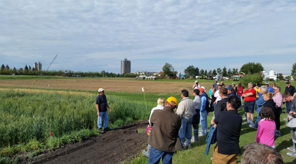 DrStanfordBlade's tweet photo. So sad to hear the news of Dr. Dean Spaner’s passing. A grad school friend @mcgillu and @UAlberta colleague - his #wheat breeding career created superb new cultivars while mentirung the next generation of breeders &amp; crop scientists. RIP friend. @RDARAlberta @CIMMYT @UofAResearch https://t.co/y02pw5dBzN