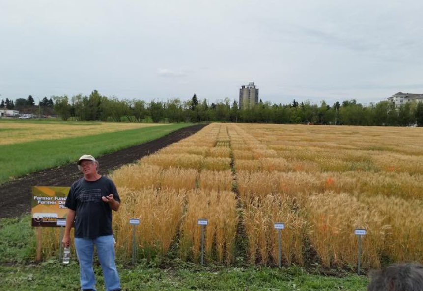 DrStanfordBlade's tweet photo. So sad to hear the news of Dr. Dean Spaner’s passing. A grad school friend @mcgillu and @UAlberta colleague - his #wheat breeding career created superb new cultivars while mentirung the next generation of breeders &amp; crop scientists. RIP friend. @RDARAlberta @CIMMYT @UofAResearch https://t.co/y02pw5dBzN