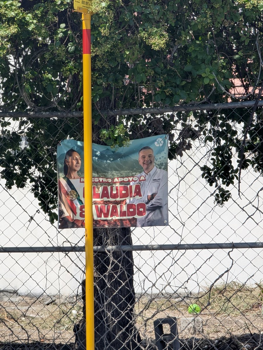 RonDoger tweet media