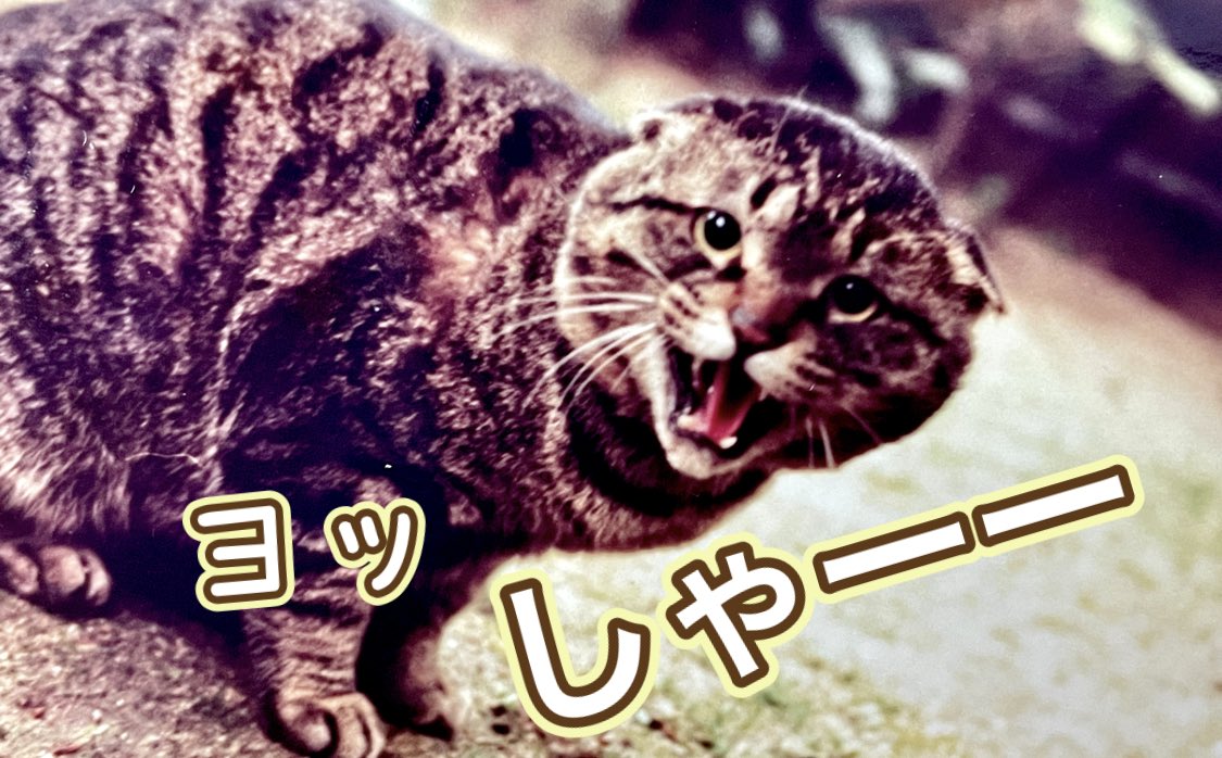 赤尾和重 クルベラブリンカ Kruberablinka tweet media