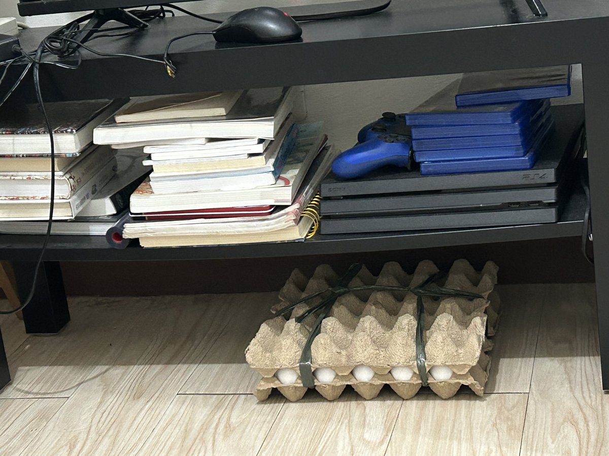 Silbear 🐻‍❄️ tweet media