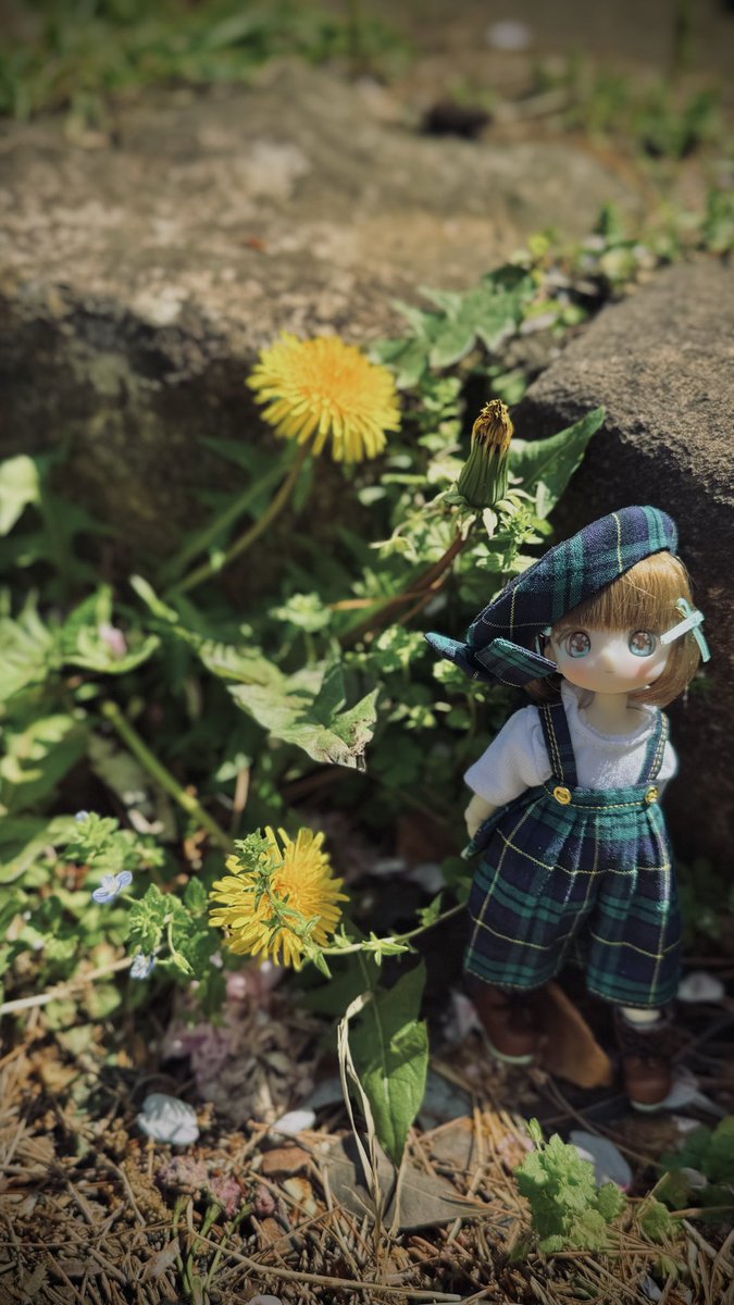 tococoサロペ屋さん(<a href="/tococodoll/">✣tococo✣サロペ屋さん</a> )様のプレゼント企画のサロペットが届きました!!
初シュガカプの子に着てもらいましたがこれはハマる
後ろ姿のシルエット、チェック柄全てが好みのお洋服本当にありがとうございました🥺ᩚ
別カラーも是非お迎え出来るよう頑張りますー!!
おすすめです⋆✦
 #とこクロ