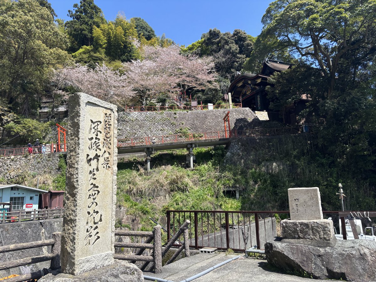 ばるどめん tweet media