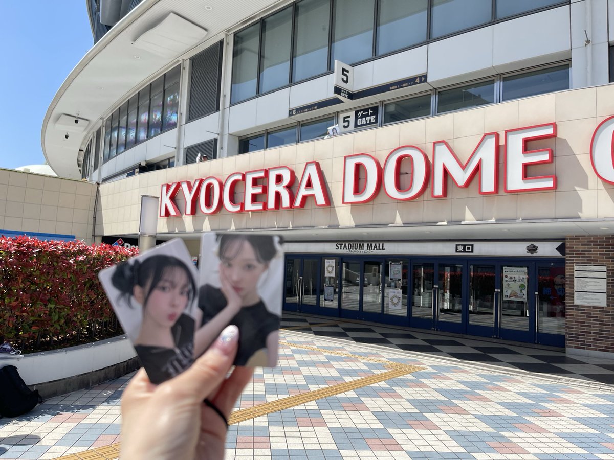 うさうさ🩷🐰💎🩵 tweet media