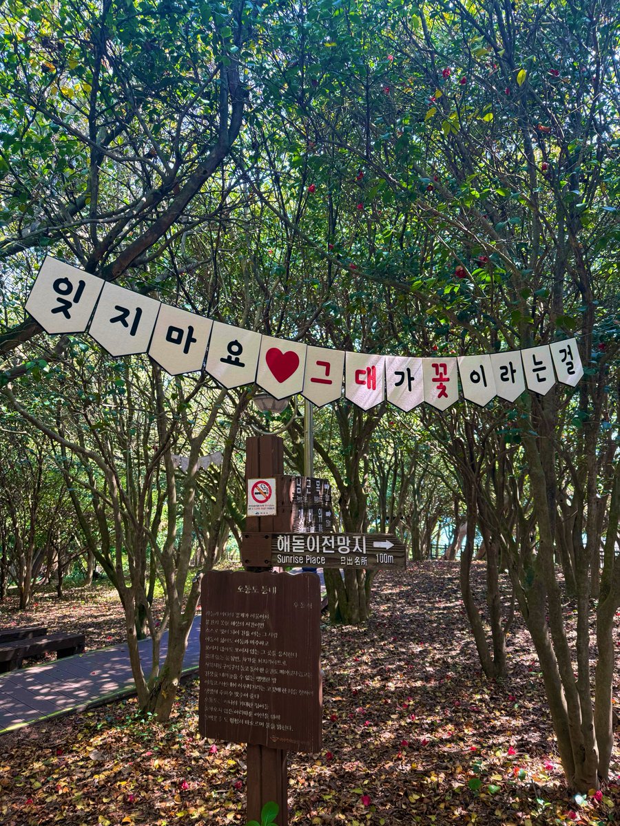 베니 tweet media