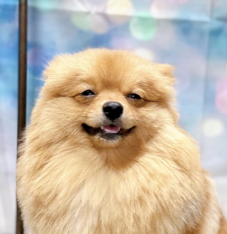 ERIKASUN tweet media