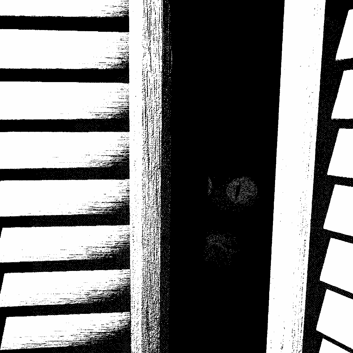 TiniTunes tweet media