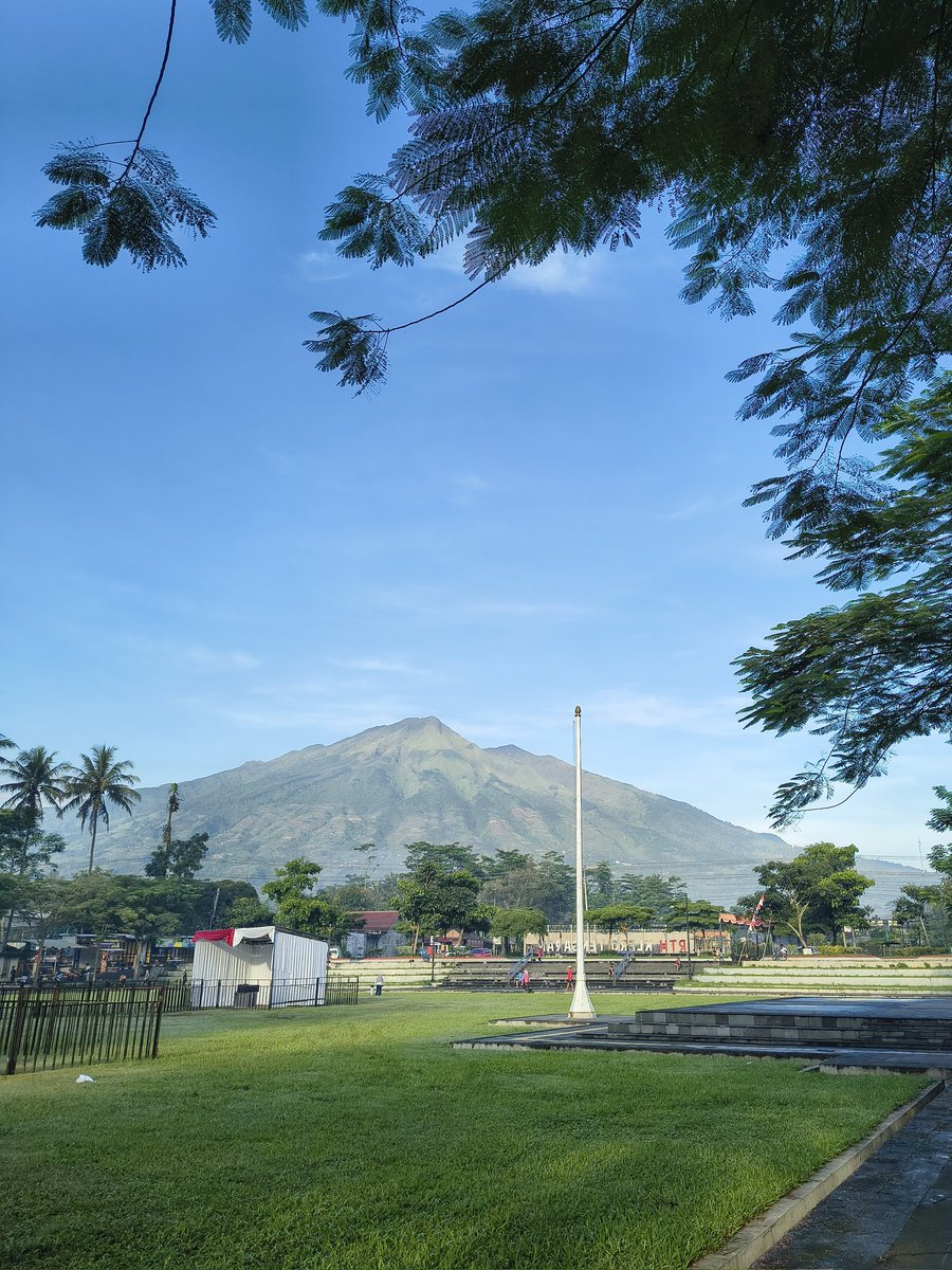 ☕︎ ˚ ⋆ tweet media