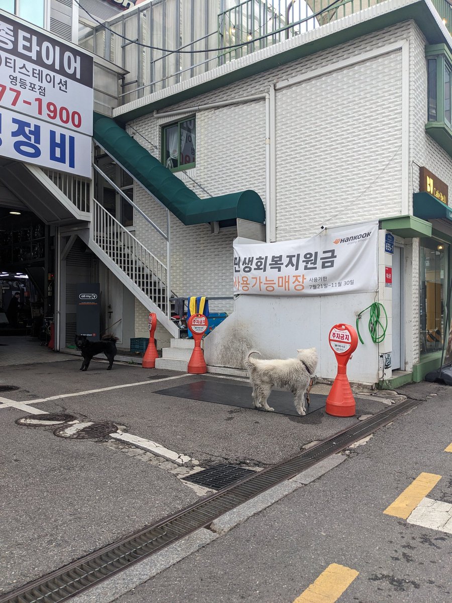 anmitsu_1971's tweet photo. 韓国🇰🇷 https://t.co/IgkNowDAvc