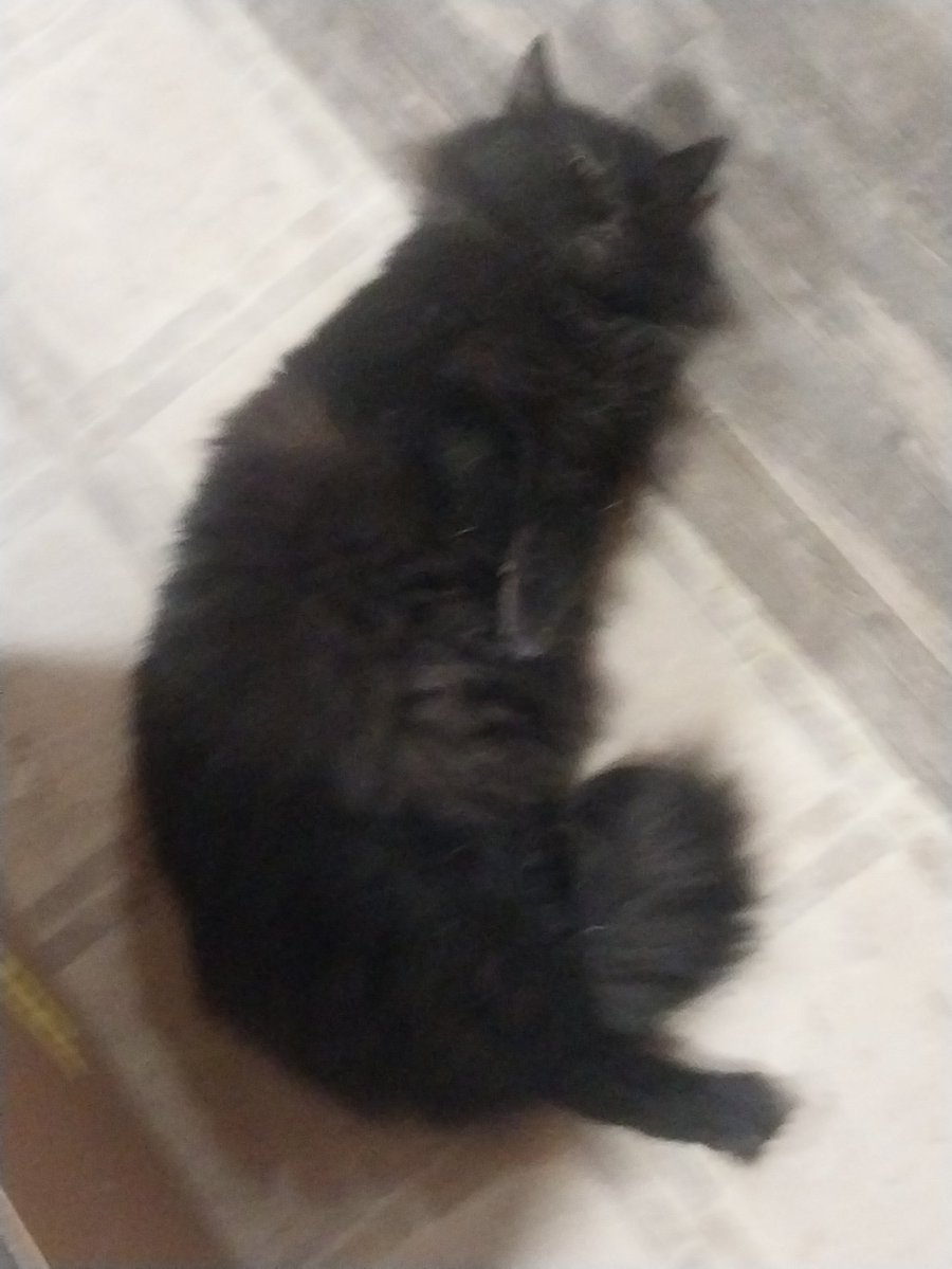 Brother George Middleton #BrotherGeorgeHymns tweet media