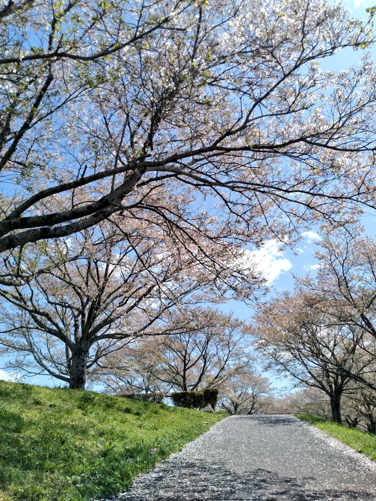 渡辺裕介@📻️🎤🎧️ tweet media