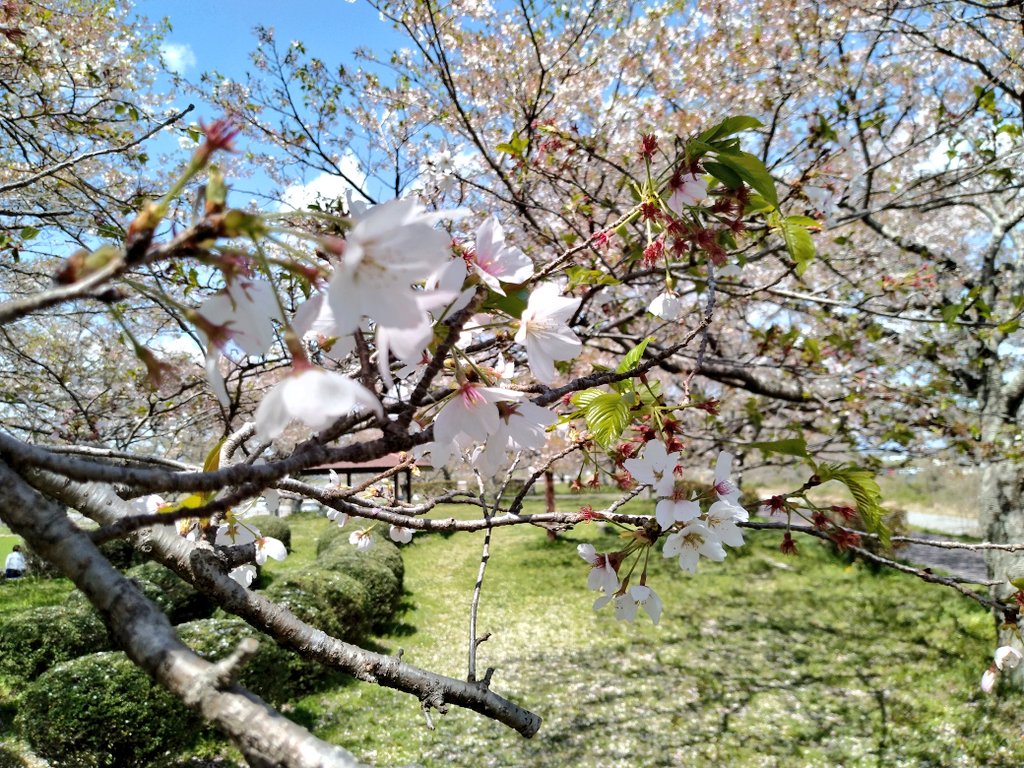 渡辺裕介@📻️🎤🎧️ tweet media