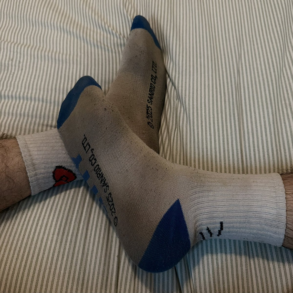 billybatorboy's tweet photo. Weeks in the sock rotation and the smell is unreal 🧦🐽 https://t.co/ThCfAwtAw0