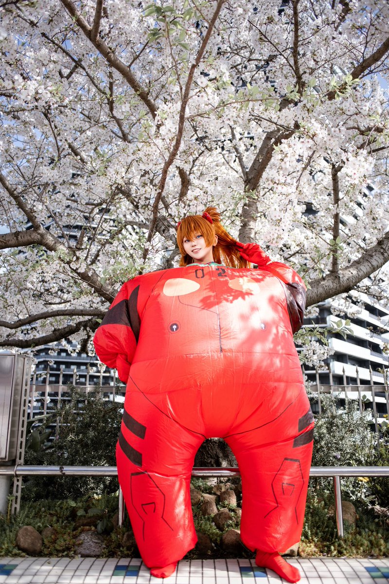 📸乃木章 tweet media