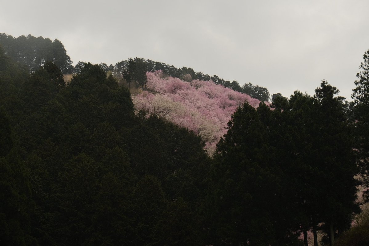 я намерен хорошо провести этот вечер 😈 tweet media