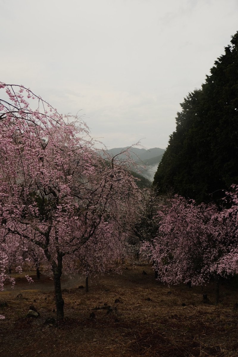 я намерен хорошо провести этот вечер 😈 tweet media