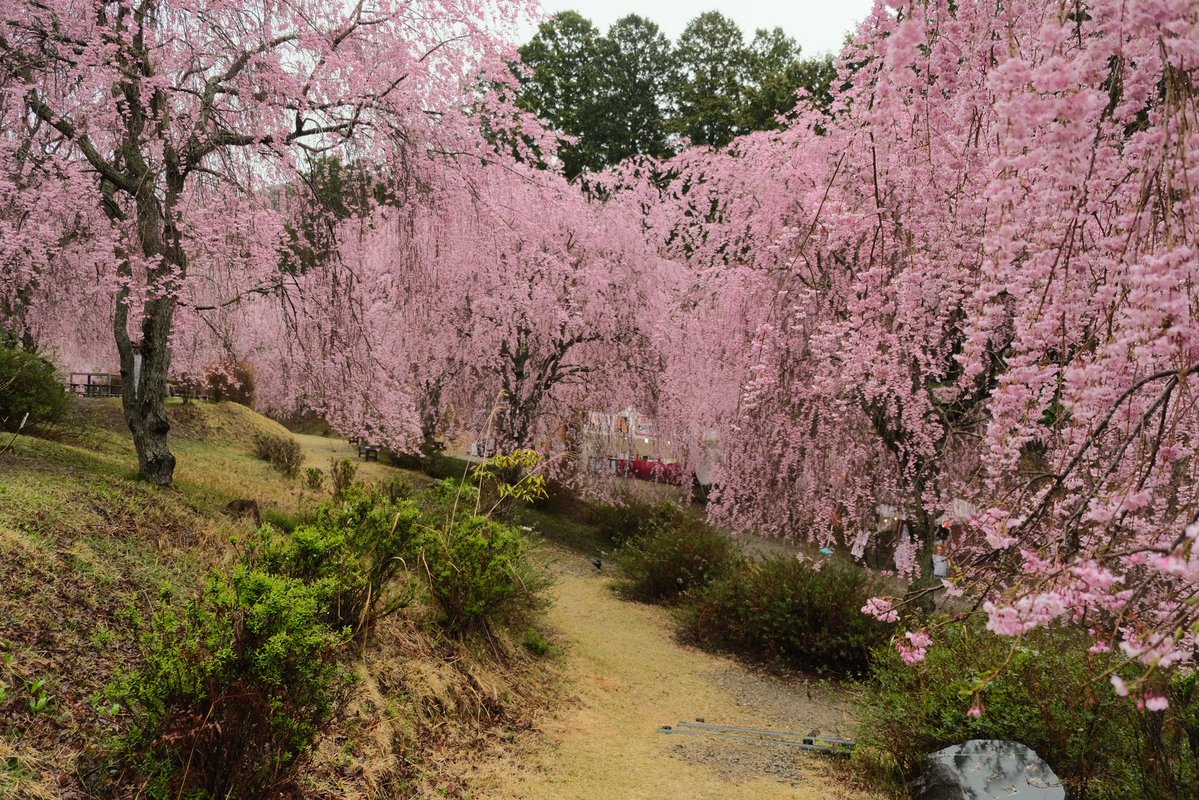 я намерен хорошо провести этот вечер 😈 tweet media