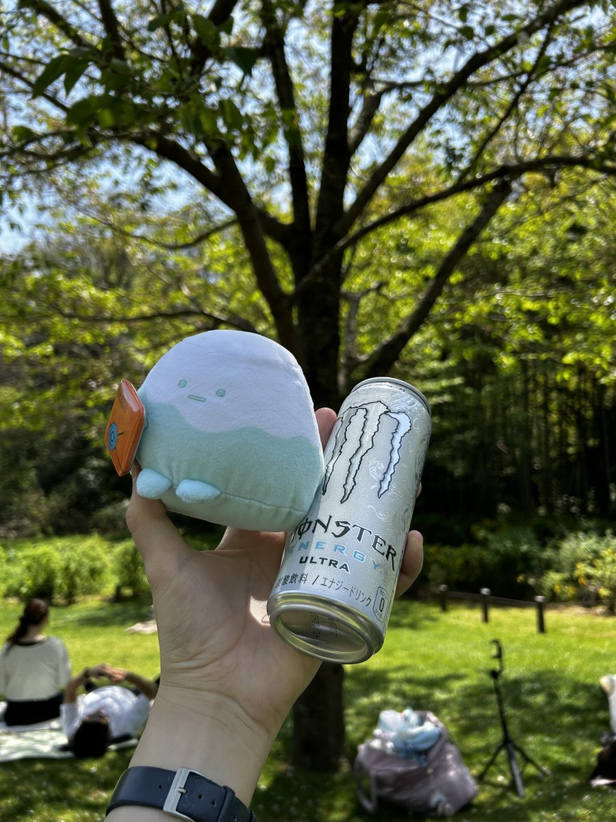 とまとけ🍅 tweet media