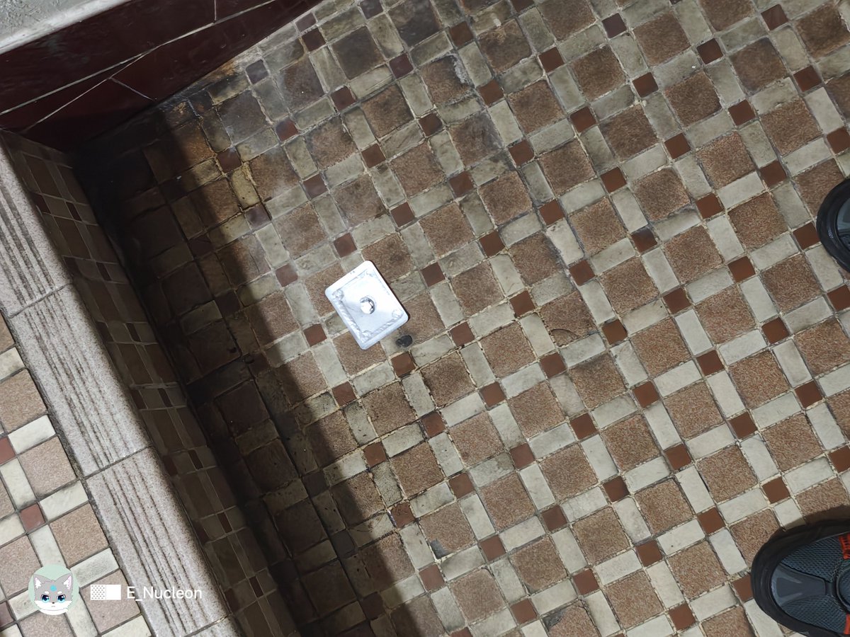 核子-Nucleon tweet media