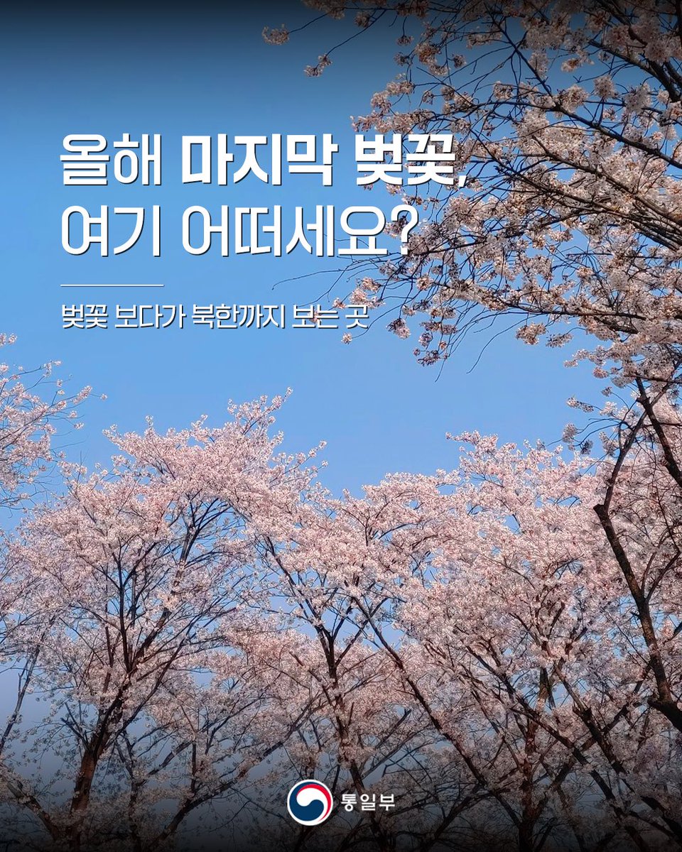 통일부 tweet media