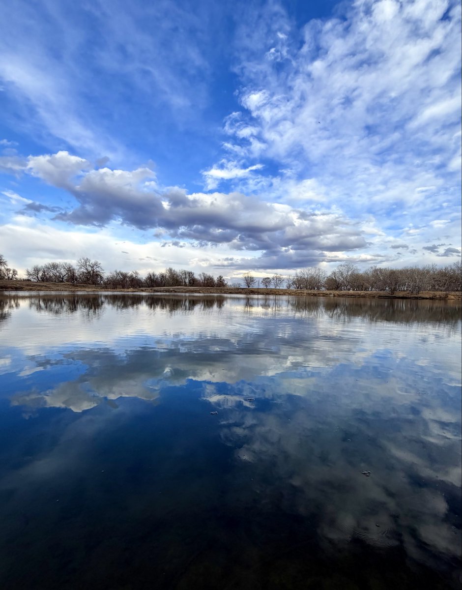 D Miller tweet media