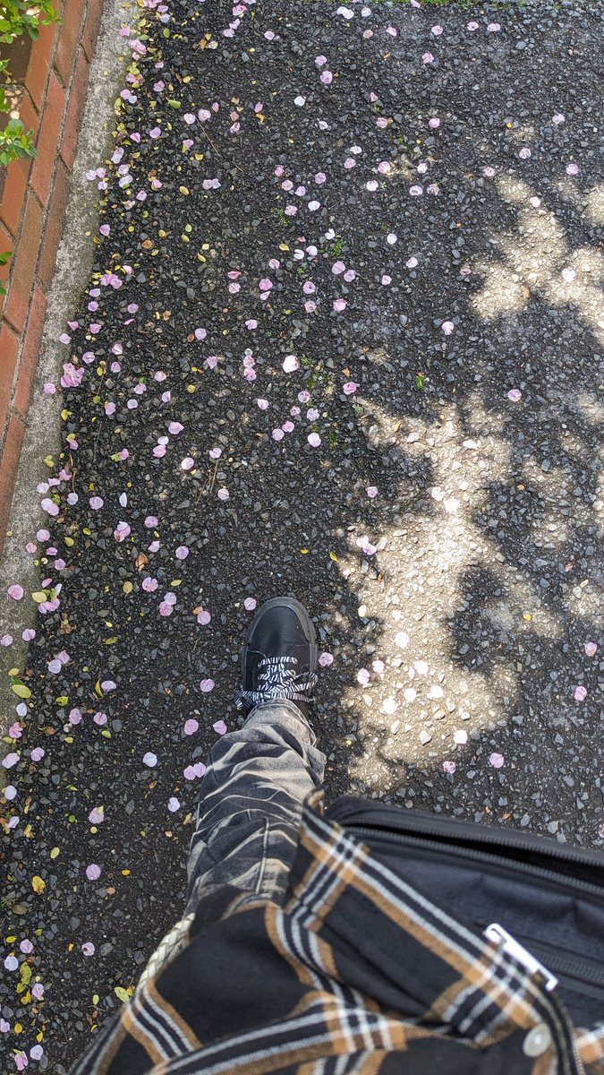 kai_sink's tweet image. さ〜〜て♪♪♪今日はコチラ✨️素晴らしい✨️競演♪共演♪饗宴♪の出演者さん達🎶気持ち良く🎤SINK🎸イキましょか〜✨️＿宜しくお願い致します♪♪(⁠*⁠´⁠ω⁠｀⁠*⁠)
#北新地
#ラスバブ
#lausbub
#音楽
#イベント
#sink