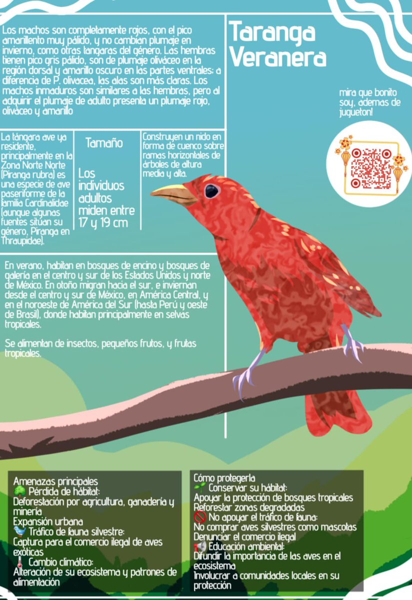 MrsCrazy13's tweet photo. Infografías que hice para la uni

I did this for my homework but i never posted it
#pajaros #birds #naturaleza #Ilustración #artistontwitter #artmoots https://t.co/WLcF8jc6wh