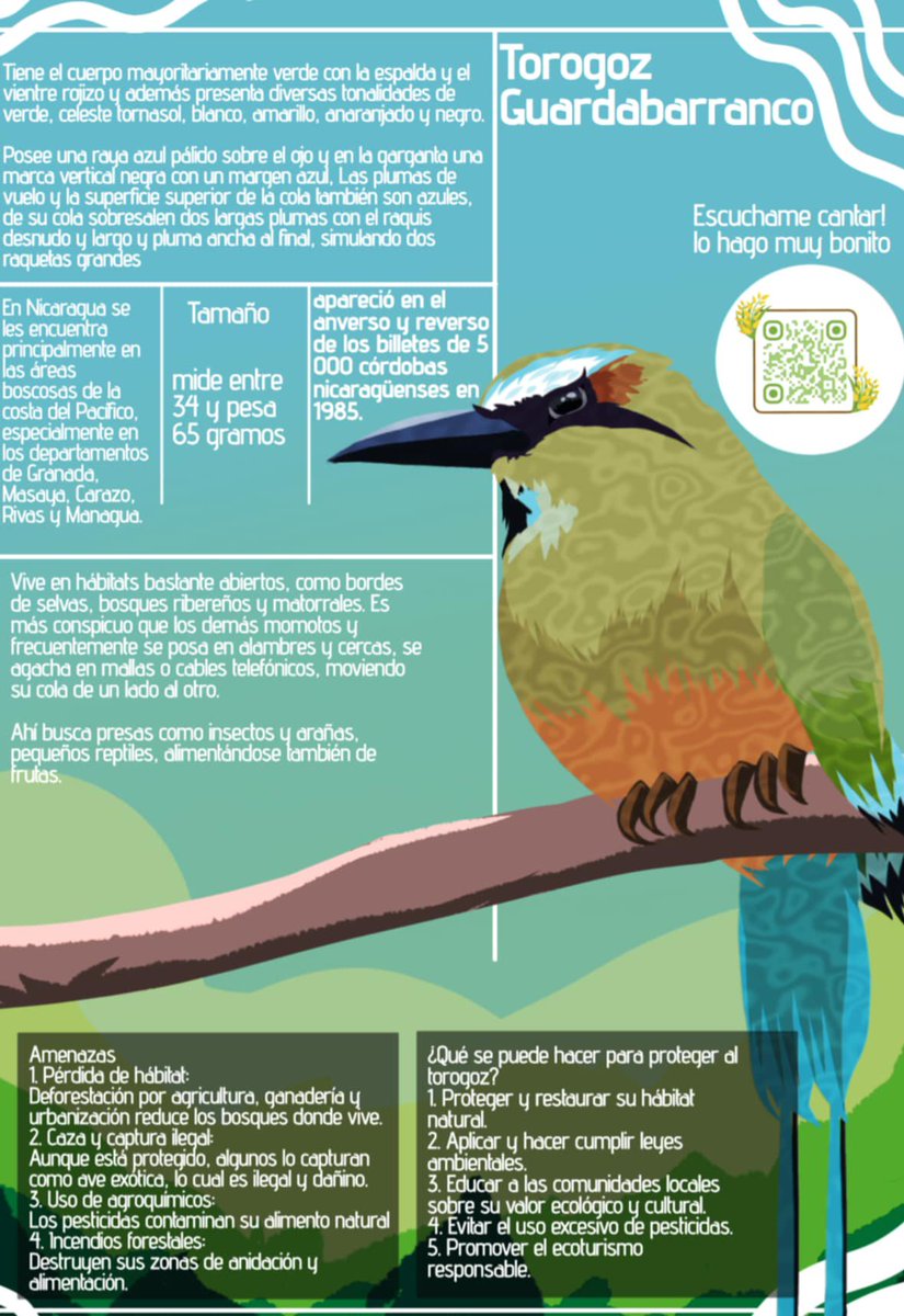 MrsCrazy13's tweet photo. Infografías que hice para la uni

I did this for my homework but i never posted it
#pajaros #birds #naturaleza #Ilustración #artistontwitter #artmoots https://t.co/WLcF8jc6wh