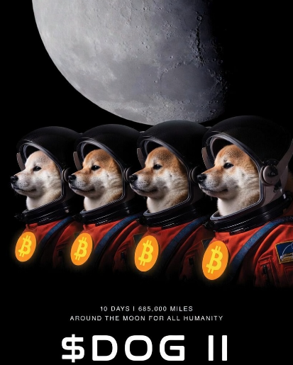 MBrocaneli's tweet photo. This will be the next crew to go to the Moon!

GO $DOG ! GO TO THE MOON !

@dogdamassa @LeonidasNFT @TheLeonidasRune  @BitmouseX @d0gofbitcoin https://t.co/uWwddJYb3h