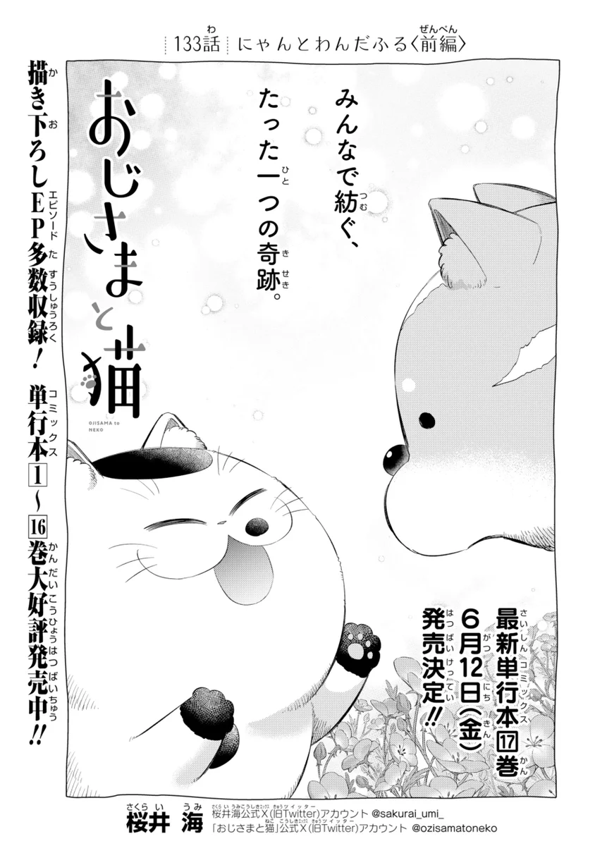 桜井海＠おじ猫17巻発売中！ on X: 