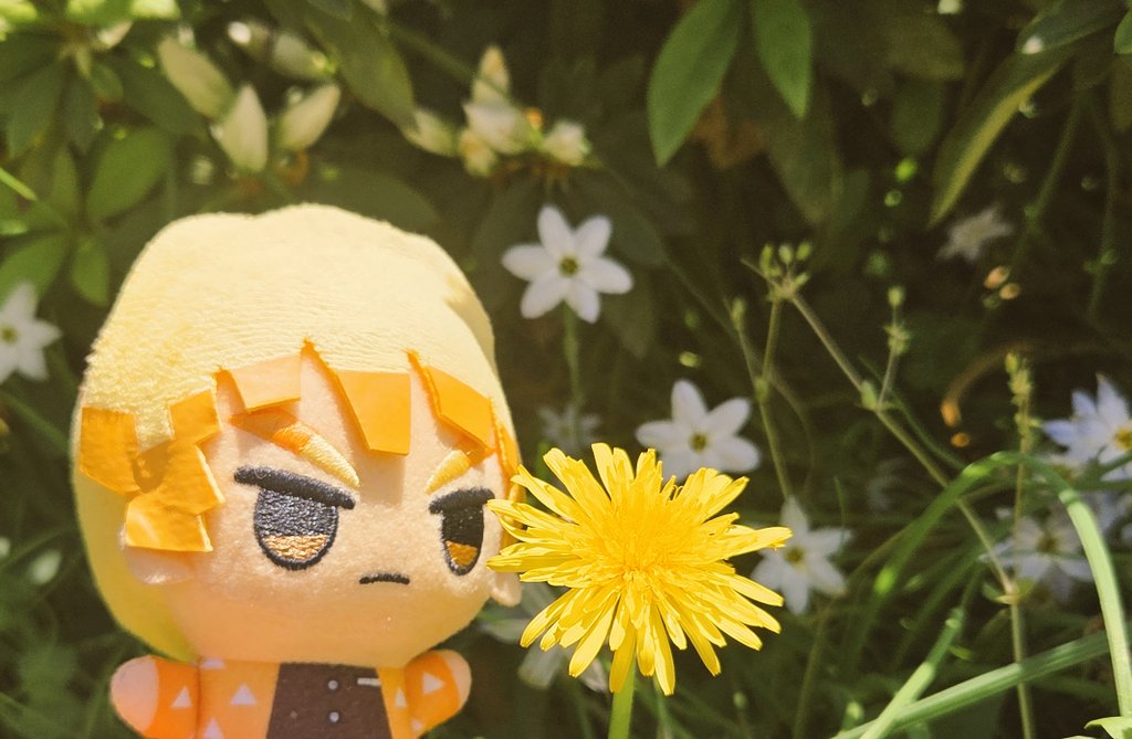 ぬ゛ーーーーーーーー！