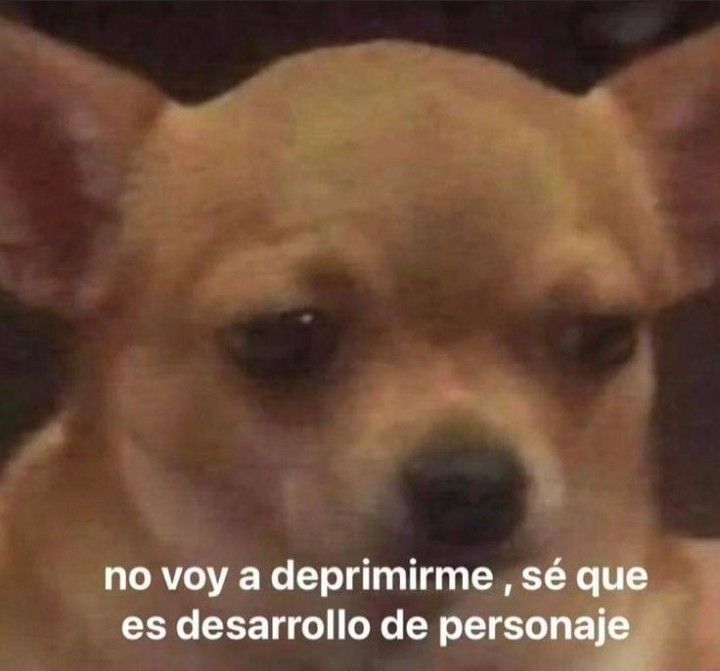 nechiwu 🇻🇪 𝐖𝐫𝐢𝐭𝐞 𝐘𝐨𝐮 𝐀𝐠𝐚𝐢𝐧 ✒️ tweet media