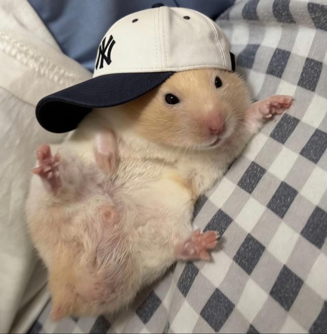 jisung love station tweet media