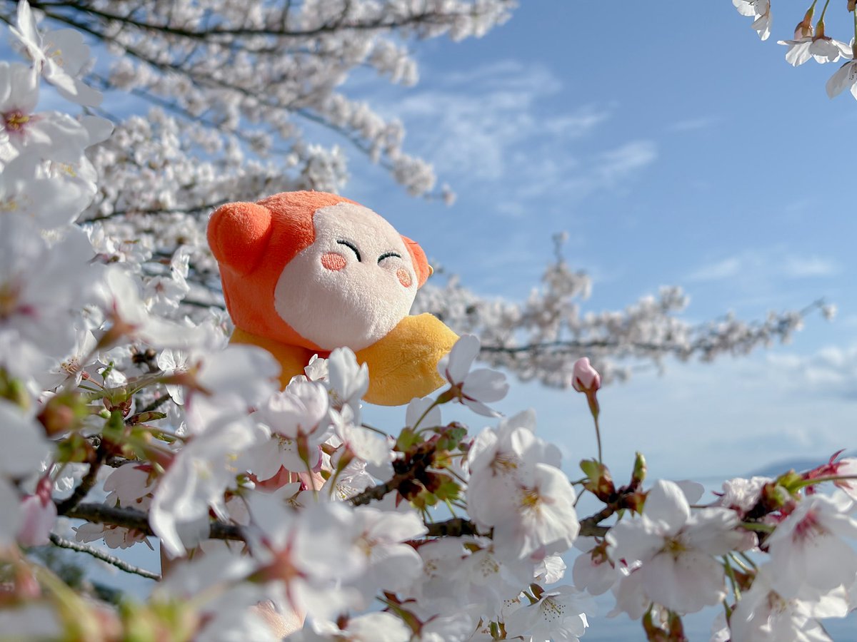 𝕞𝕚𝕜𝕒𝕟 tweet media