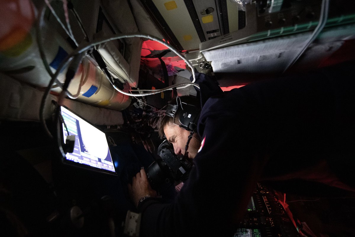 Nickelback tweet media