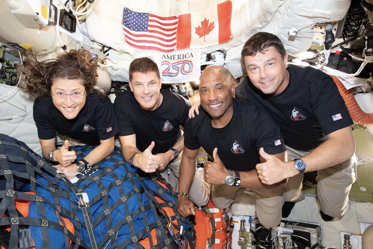 Nickelback tweet media