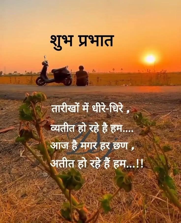 RashmiPariHomeKitchen tweet media