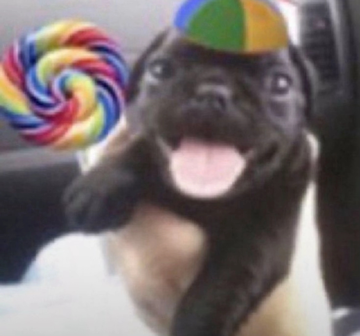 Kami☆🔞☆ 🐺🌙 tweet media