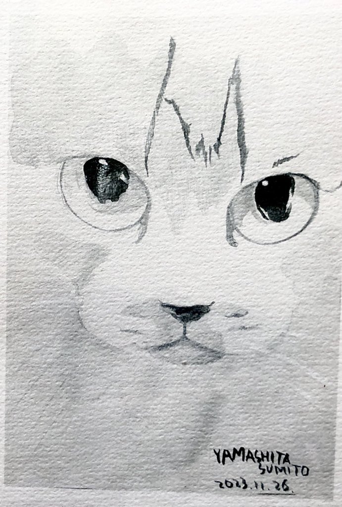 山下澄人 tweet media