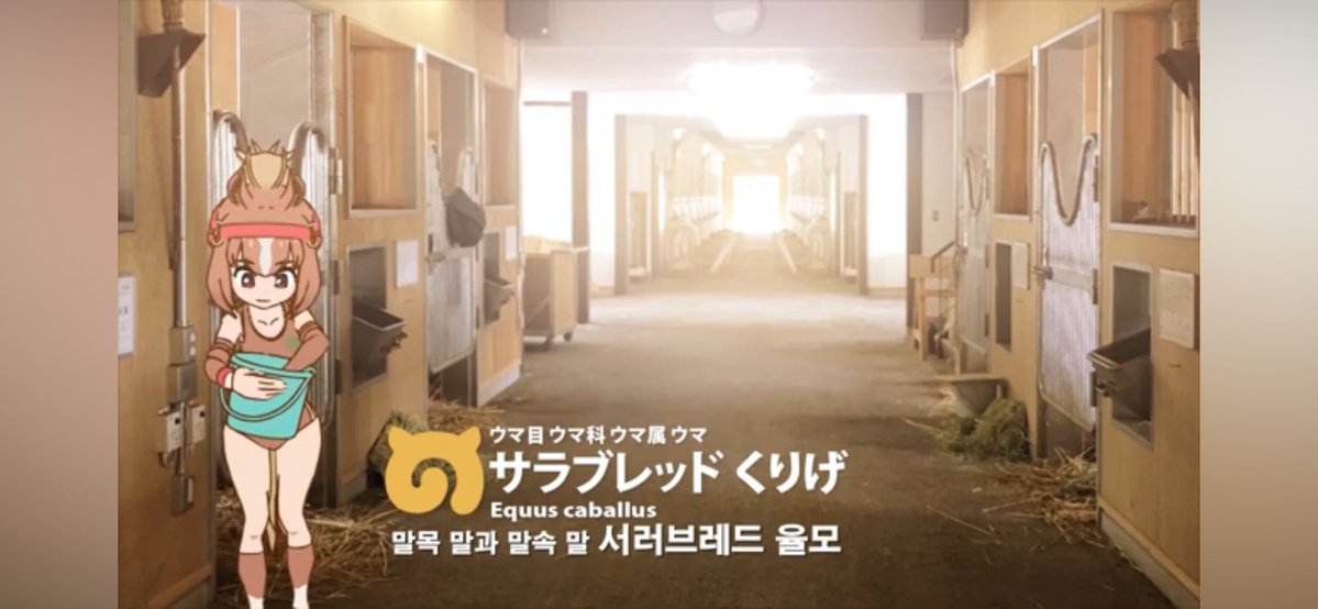 ㄱㅗㅈㅗㅇㅎㅕㄱ tweet media